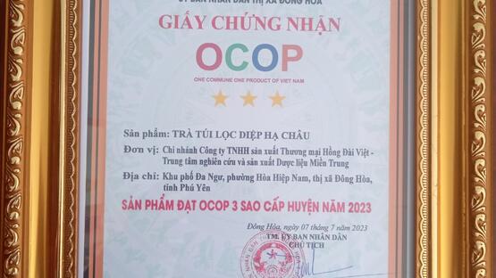 upload/105187/20230915/Tra_tui_loc_Diep_Ha_Chau_100cb_59442.jpg
