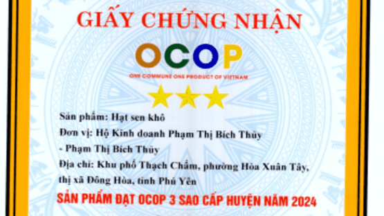 upload/105187/20241129/HATSENKHOgcn_56180.png