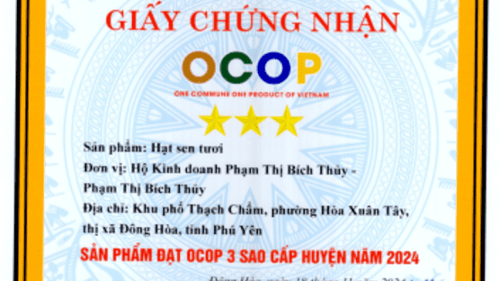 upload/105187/20241129/HAT_SEN_TUOI_gcn_3aea9.png