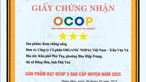 upload/105187/20250605/kem_chong_nang_cafc2.jpg